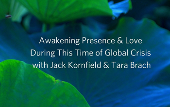 Video Series: Awakening Presence & Love During This Time of Global Crisis with Jack Kornfield & Tara Brach