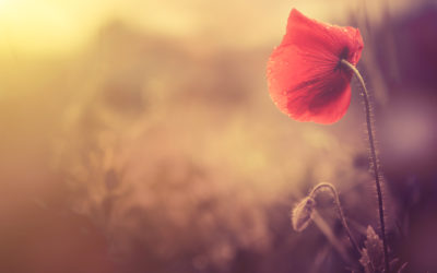 Video: Listening with the Heart Meditation