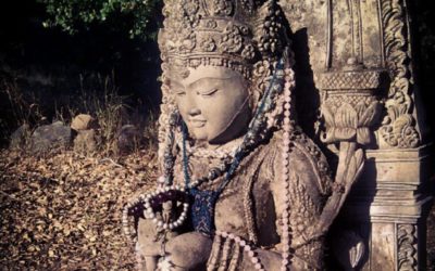 Video: Align Yourself with Goodness Meditation