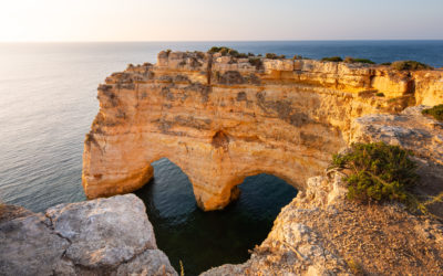 Video: Quiet Mind, Steady Heart Meditation