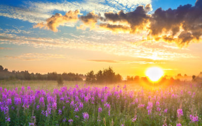 Video: Breathe Love In, Breathe Love Out Meditation