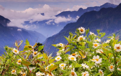 Video: Reconciliation Meditation