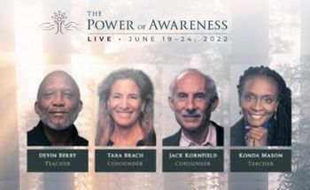 The Power of Awareness Live Training: June 19-25