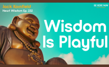 wisdom is playful