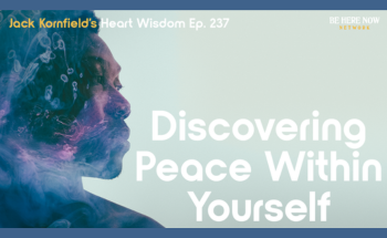 discovering peace