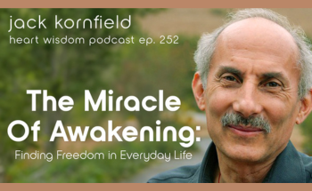 miracle of awakening