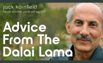 Advice from the Dalai Lama