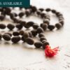 Buddhist Psychology: Essential Concepts for Understanding Mind, Emotion, and Well-Being (Payment Plan)